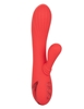 Additional RED view of product CALIFORNIA DREAMING PALISADES PASSION with color code RD