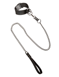 Front view of EUPHORIA COLLAR WITH CHAIN LEASH