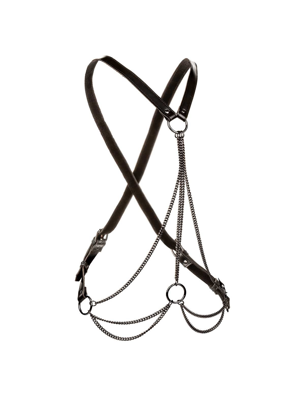 alternate image for Euphoria - Plus Size Multi Chain Harness