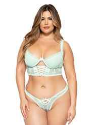 Front view of DITSY LACE MINT LONG LINE PLUS BRA AND PANTY SET
