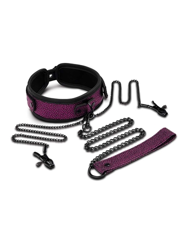 WHIPSMART DRAGONS LAIR COLLAR LEASH & NIPPLE CLIPS SET - WS1068-05854