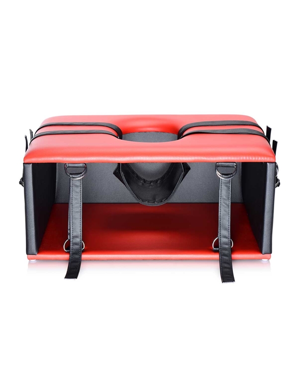 MASTER SERIES QUEENING CHAIR ALT4 view Color: RB