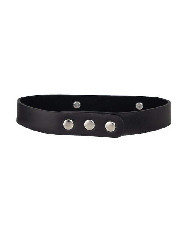 Kink & Consent - Slave Collar ALT4 view Color: BKS