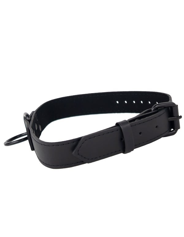 Kink & Consent - Collar & Leash ALT4 view Color: BK