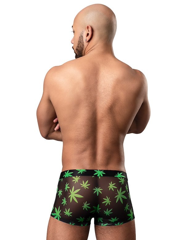 Hazy Dayz Pot Leaf Pouch Short ALT1 view Color: BN