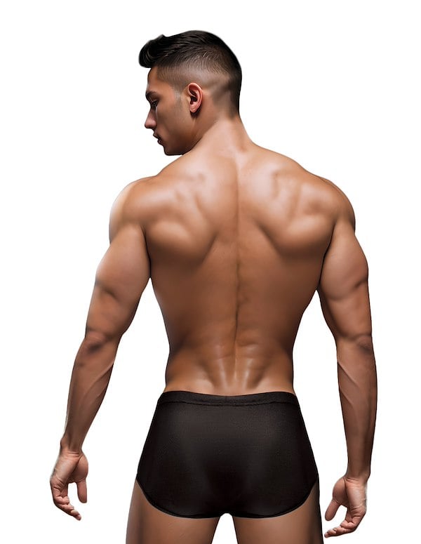 Envy Sexy Slinky Black Brief ALT1 view Color: BK