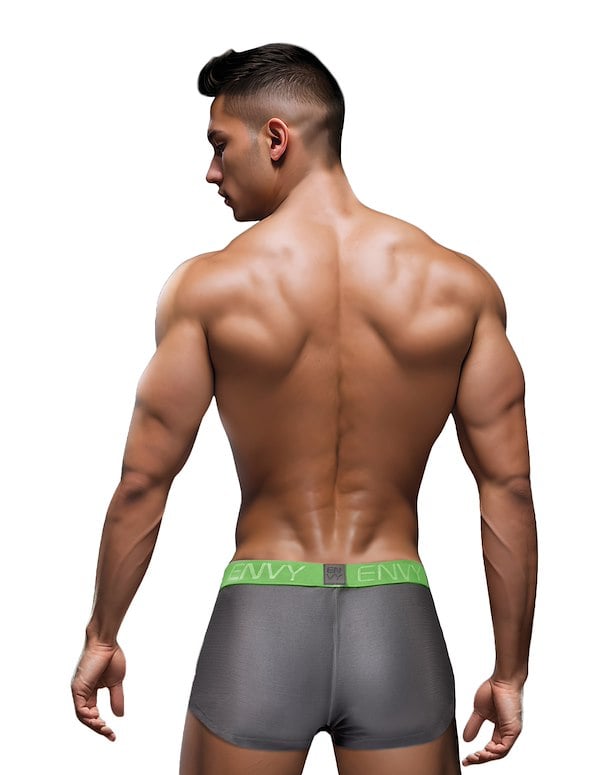 Envy Sexy Slinky Grey Trunk ALT1 view Color: GY