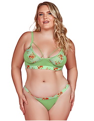 Front view of GOLDEN COAST PLUS SIZE BRA AND PANTY SET