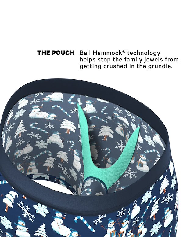 THE BIG BLIZZARD BALL HAMMOCK BOXER BRIEF ALT3 view Color: PT