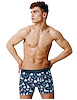 Additional PRINT view of product THE BIG BLIZZARD BALL HAMMOCK BOXER BRIEF with color code PT