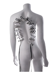 Alternate back view of EDGE BODY ZIPPER CLOTHES PINS