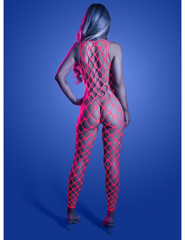 WANT IT ALL REVERSIBLE RHINESTONE BODYSTOCKING WITH PASTIES ALT5 view Color: NP