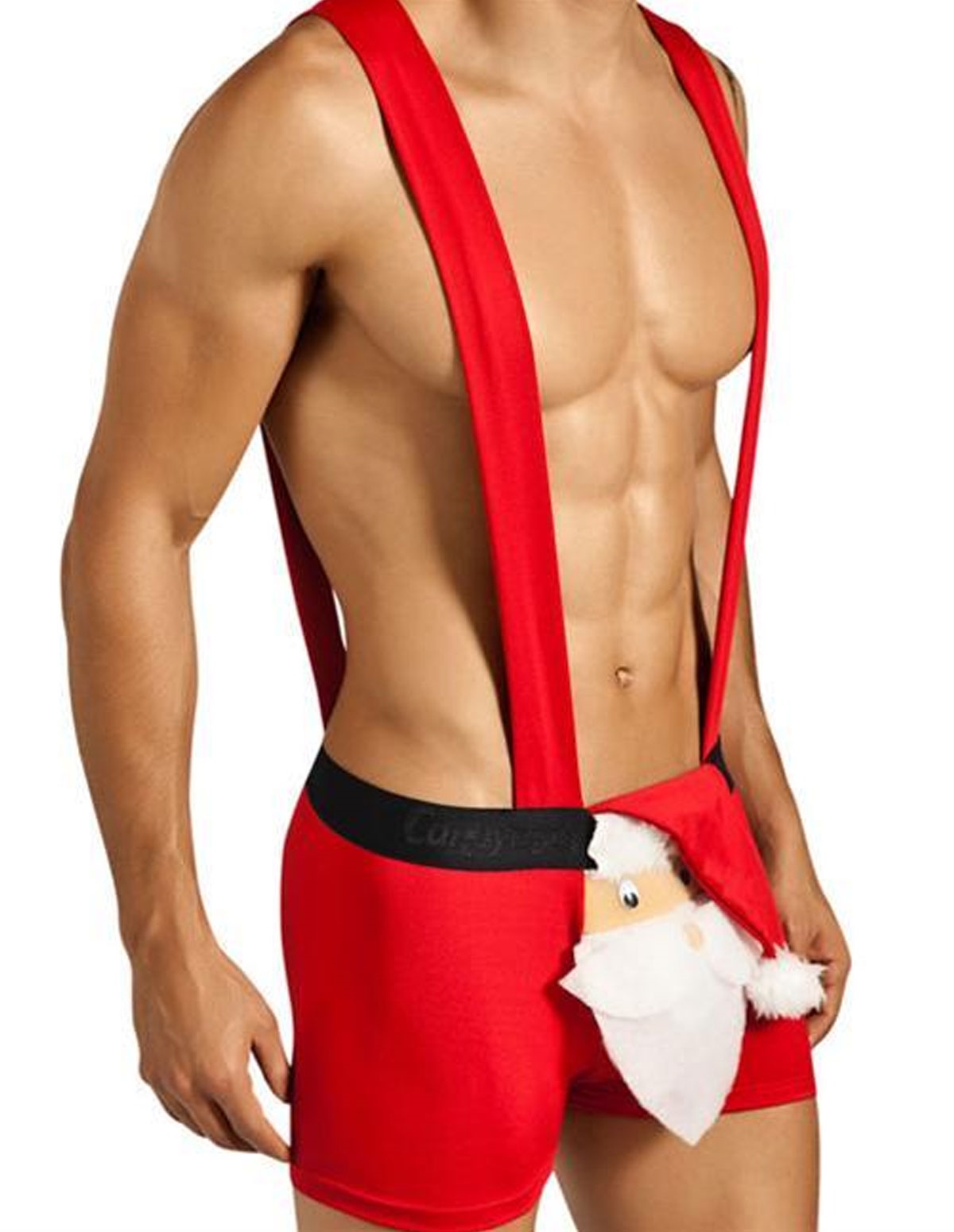 alternate image for Peekaboo Santa