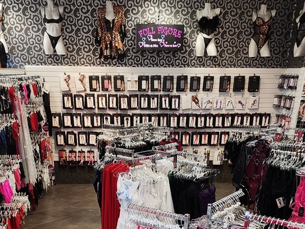 sexy lingerie store in michigan Vertical Video of a Skinny Girl in Sexy Lingerie, Stock Footage main image 0